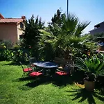 Petar Pan *