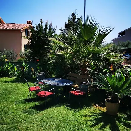 Petar Pan *